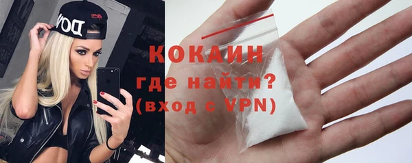 дживик Белокуриха