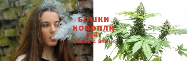 дживик Белокуриха