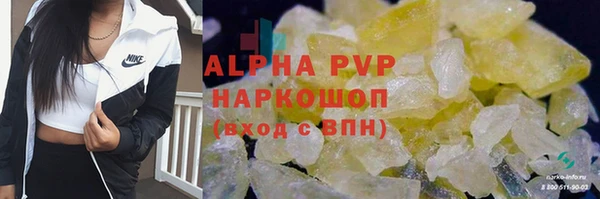 дживик Белокуриха