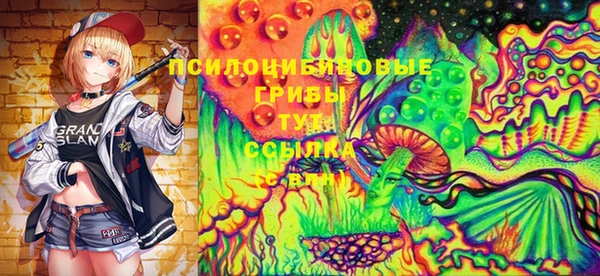 дживик Белокуриха