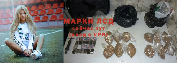 дживик Белокуриха