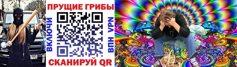 Купить где  Артём  Галлюциногенные грибы GOLDEN TEACHER 